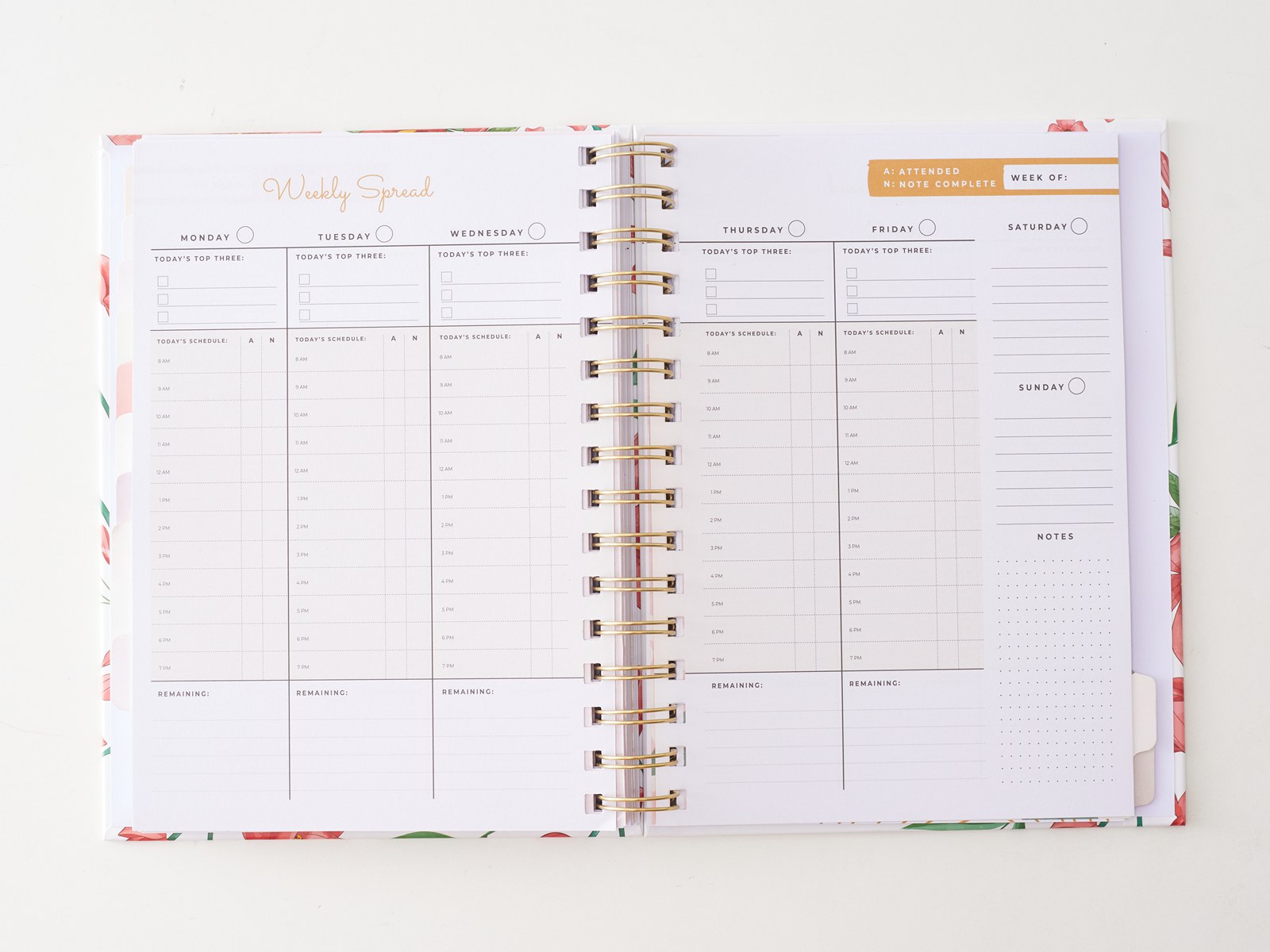 Beyond the Basic Notebook